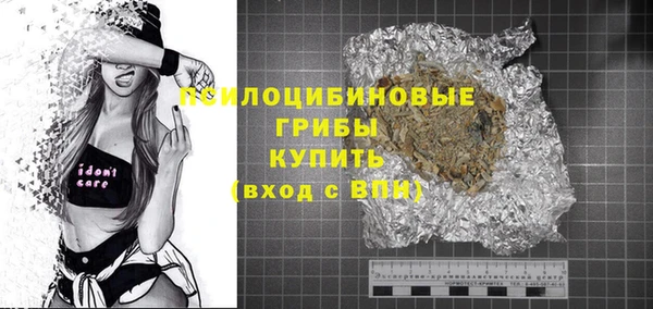 эйфоретик Вяземский