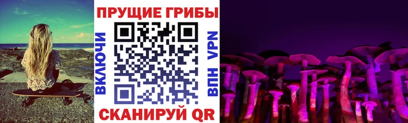 Галлюциногенные грибы мицелий  Купить закладки  Владивосток 