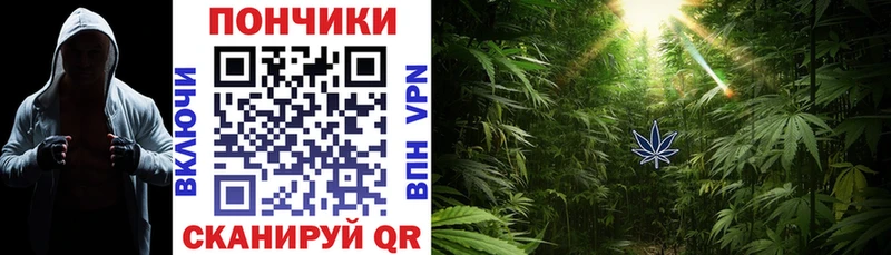 МАРИХУАНА OG Kush  Купить где  Владивосток 